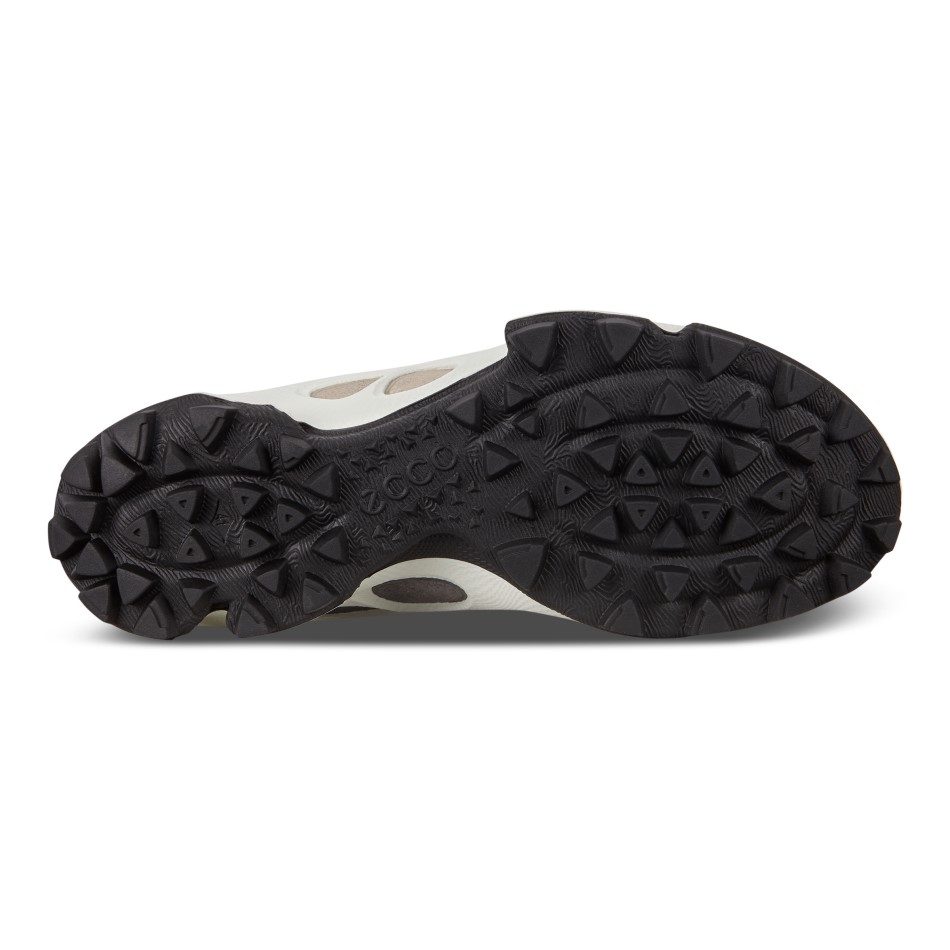 Biom C-trail M Siin On Ee Kruus