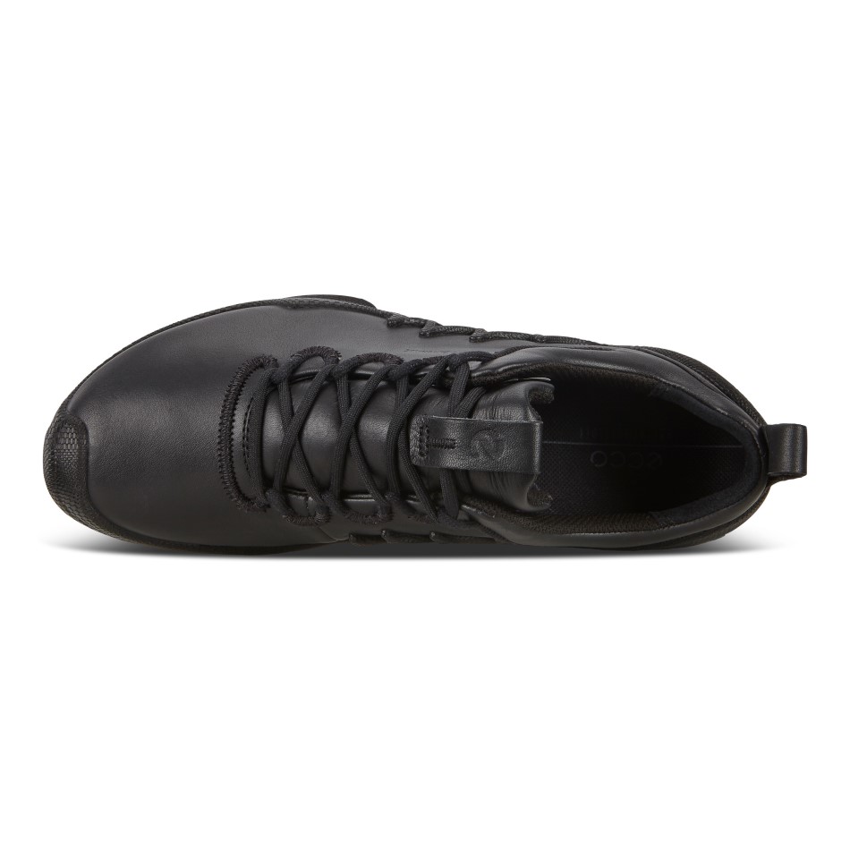 Must Biom Aex W Ecco Ee