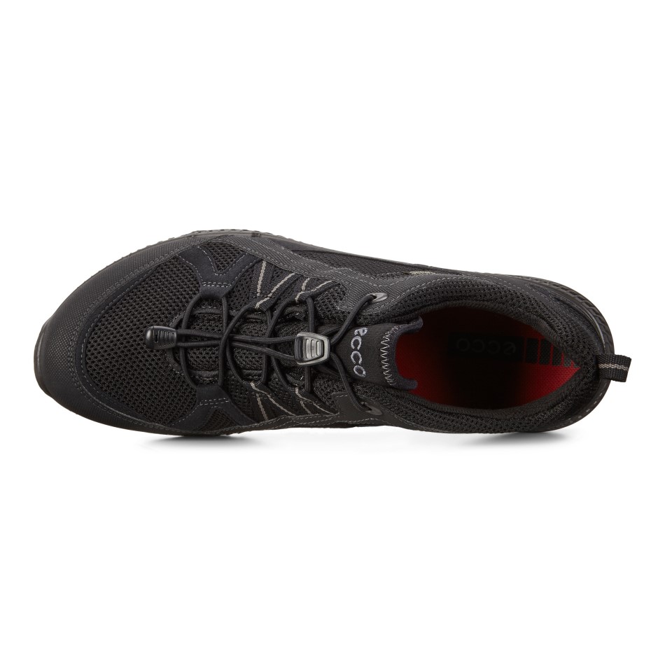 Must Terracruise Ii M Ecco Ee