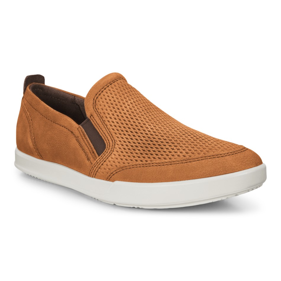 Camel Collin 2.0 Siin On Ee