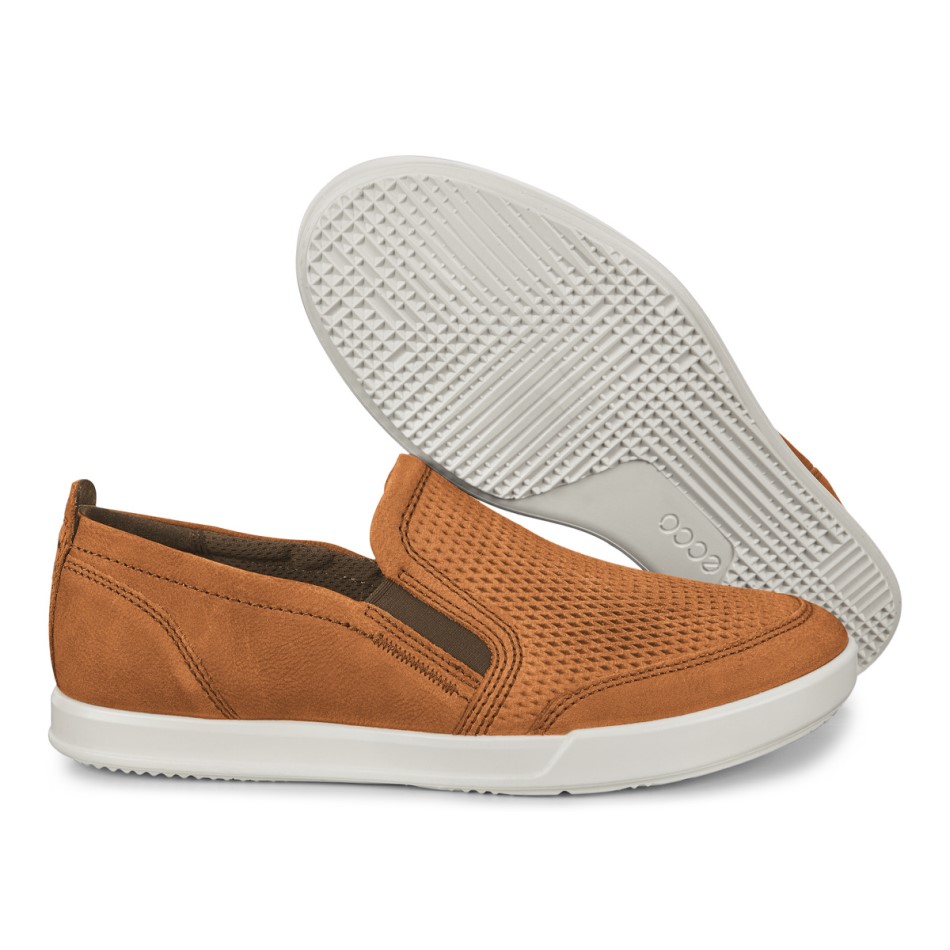 Camel Collin 2.0 Siin On Ee