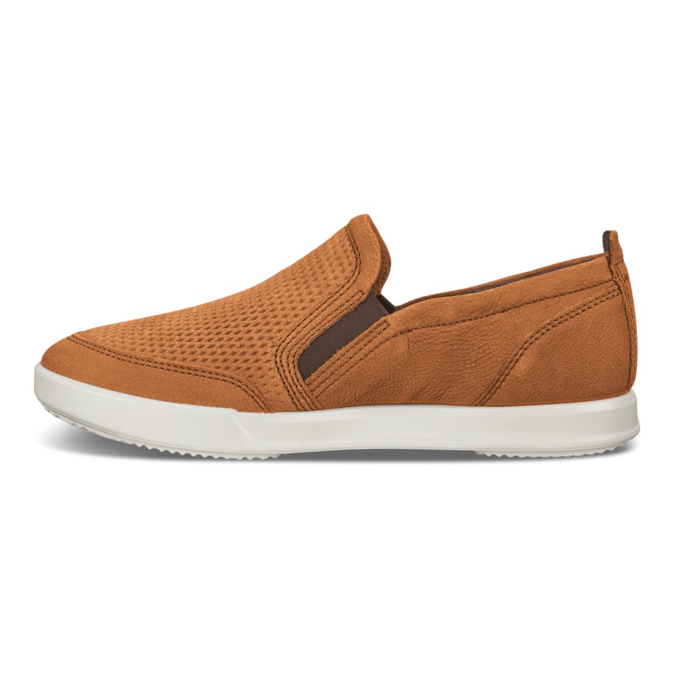 Camel Collin 2.0 Siin On Ee