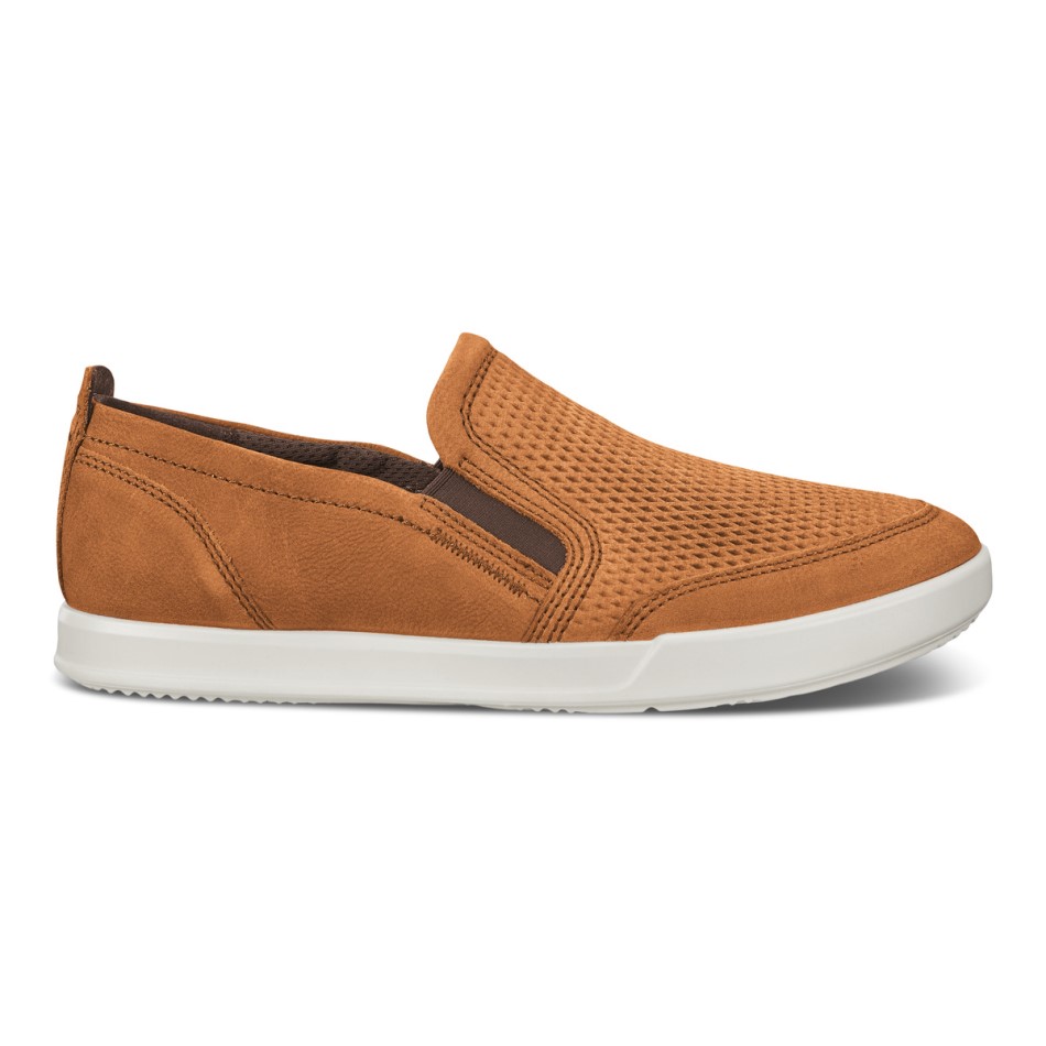 Camel Collin 2.0 Siin On Ee