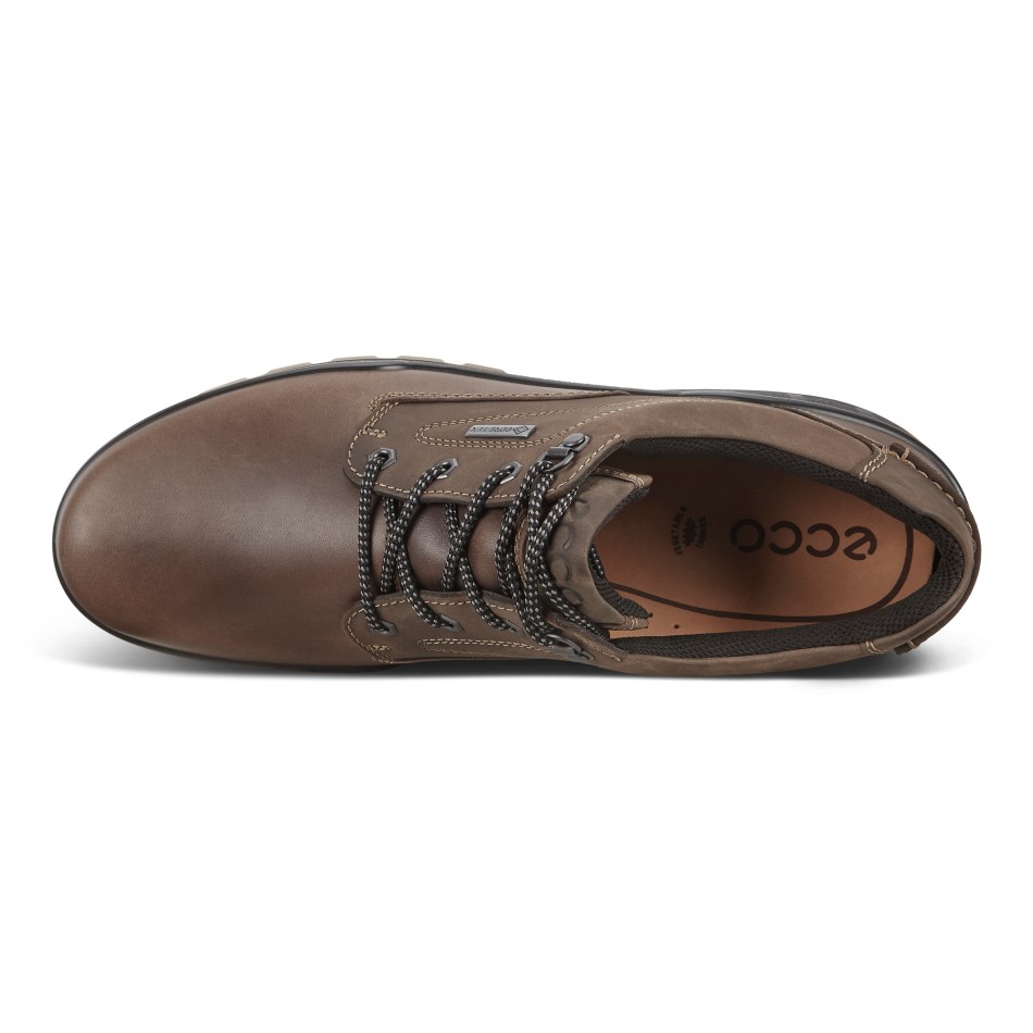 Kohvi Ecco Ee Rada 25 M