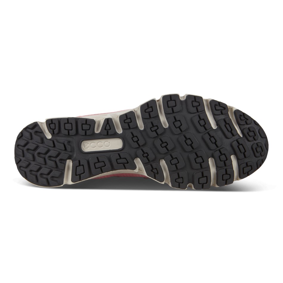 Siin On Ee Multi-vent W Rose