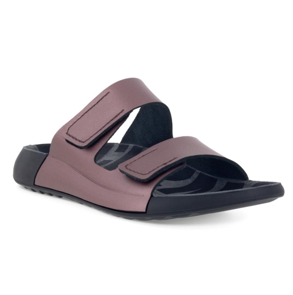 Siin On Ee Rose 2nd Cozmo