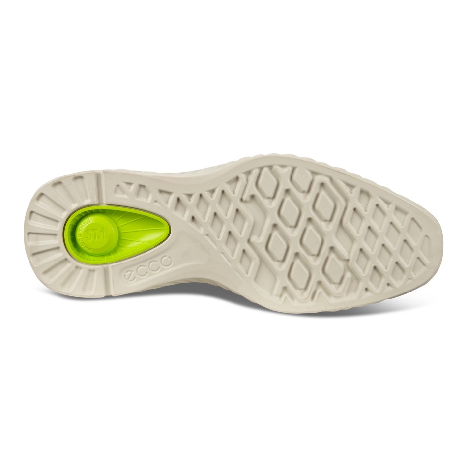 Ecco Ee St.1 Hübriid Lite Merevaigukollane