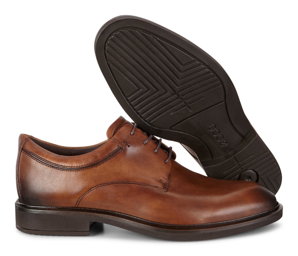 Siin On Ee Vitrus Ii Merevaigukollane