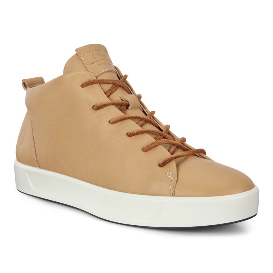 Pehme Piim 8 W Dritan Siin On Ee