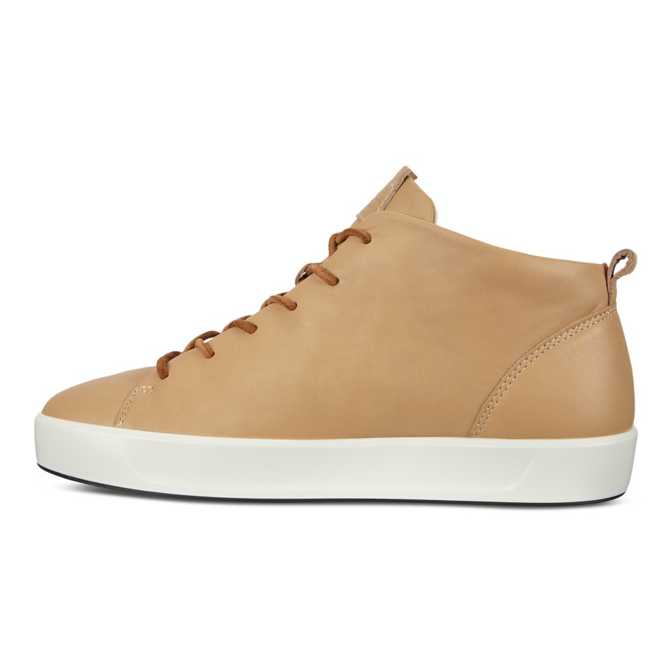 Pehme Piim 8 W Dritan Siin On Ee