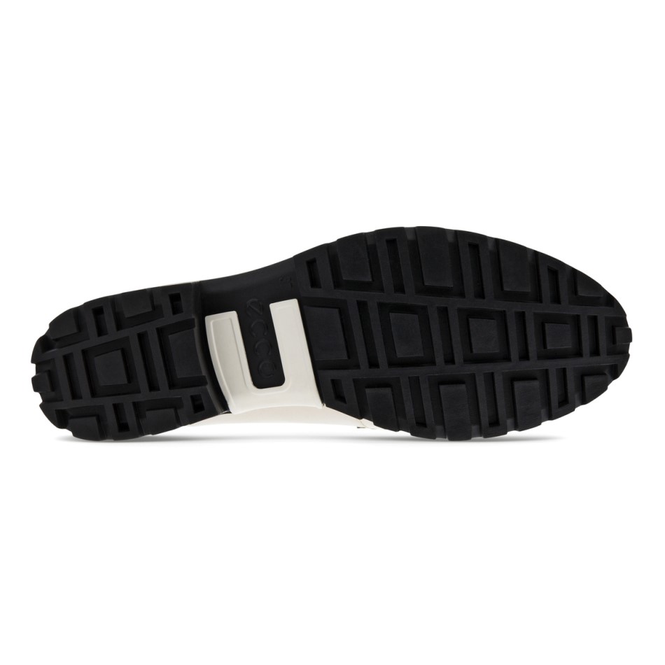 Paekivi Modtray W Siin On Ee