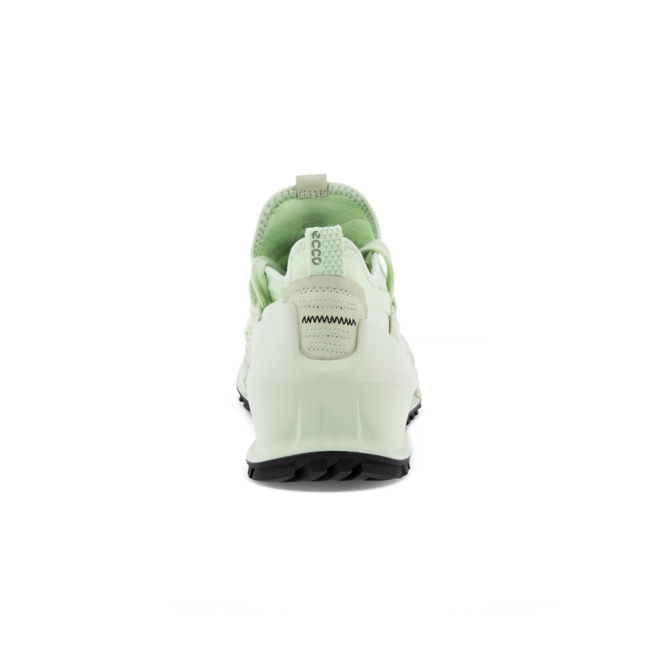 Matcha Ecco Ee Biom 2.0 W