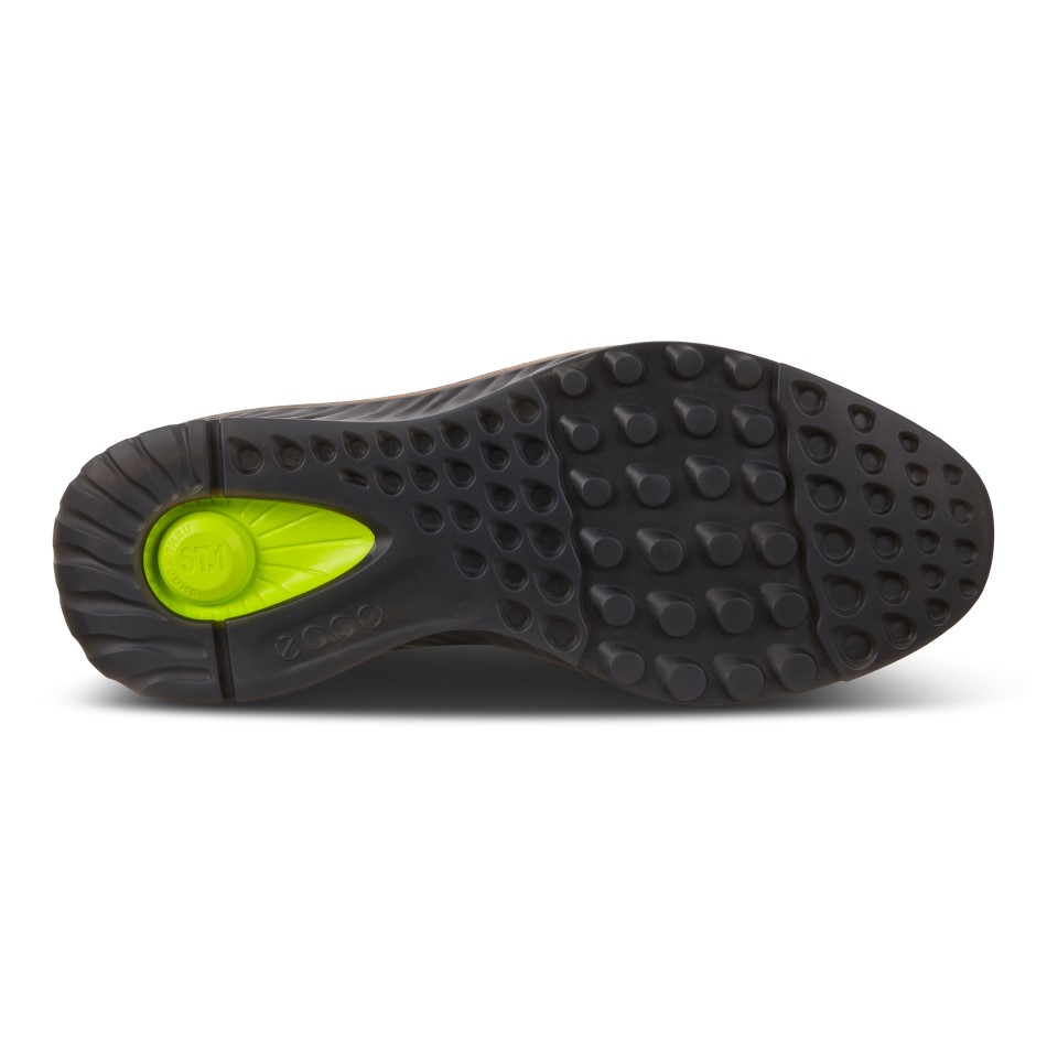 St.1 Must Hübriid Ecco Ee