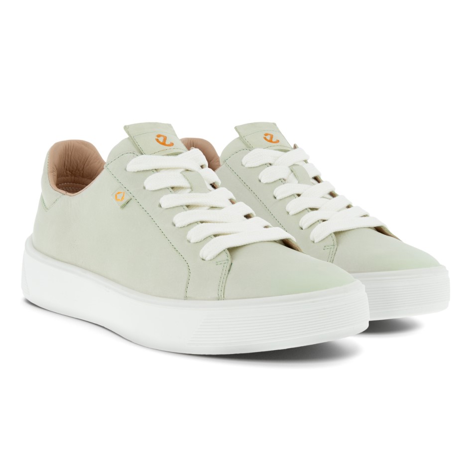 Tänavakandik Pluss Ecco Ee Matcha