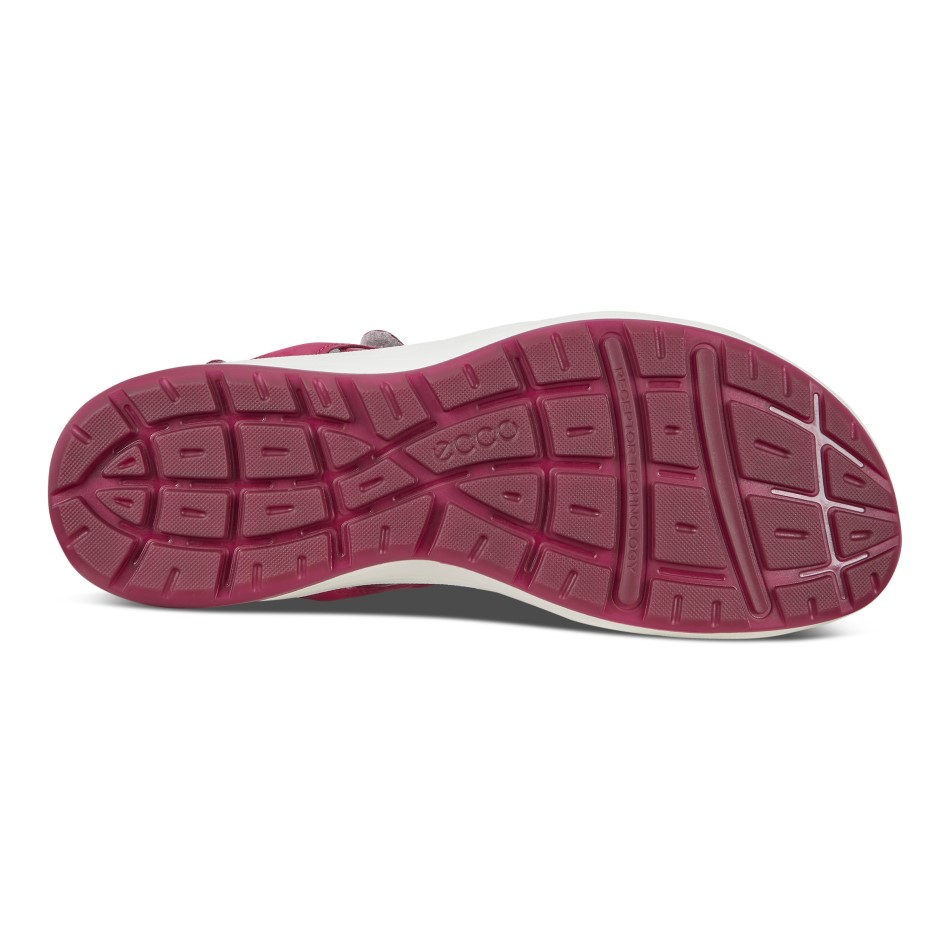 Sangria Siin On Ee Kruiis Ii