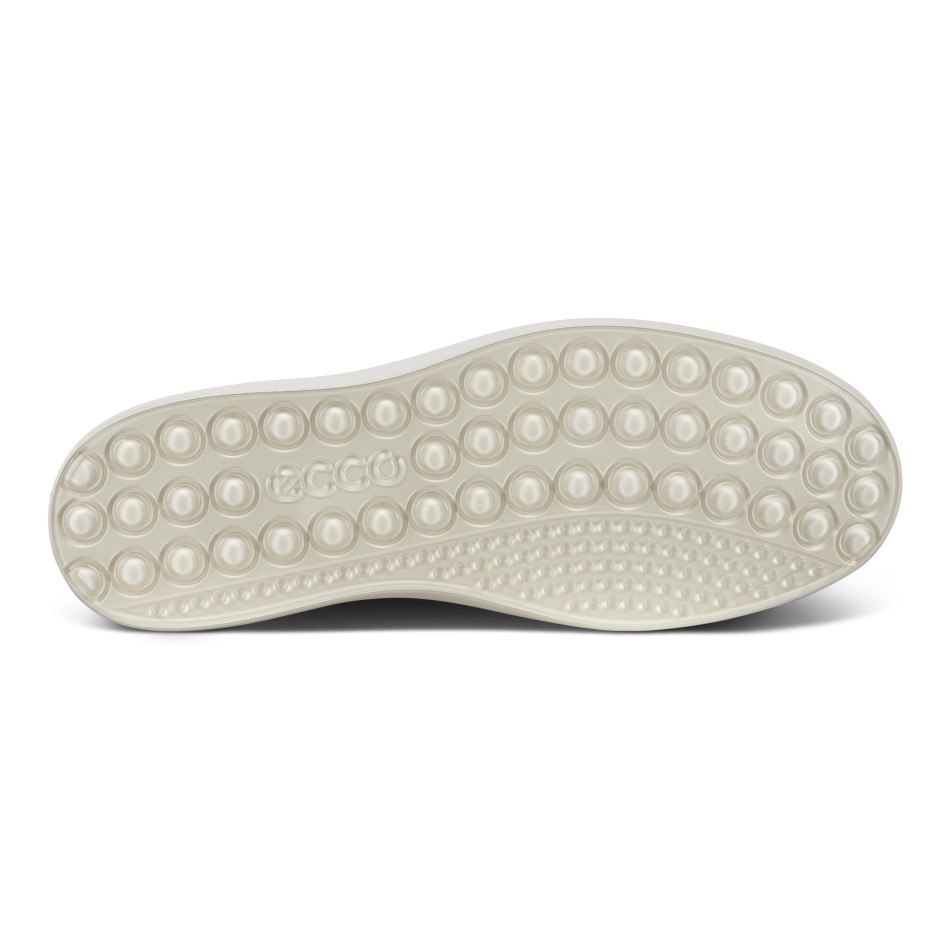 Kivi Siin On Ee Pehme 7 M